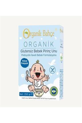 Organik Bahce M Organik Glutensiz Bebek Pirinc Unu 250 Gr Fiyati Yorumlari Trendyol
