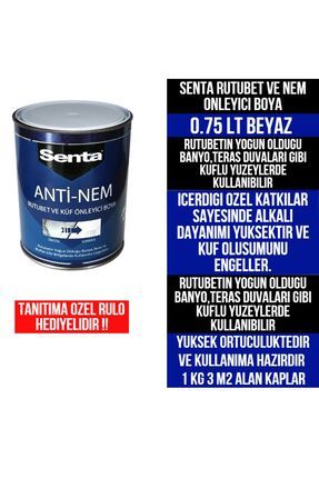 Senta Anti-nem Rutubet Ve Küf Önleyici Yalıtım Boyası 1 Kg (RULO HEDİYELİDİR)