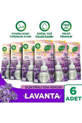 Elektrikli Oda Kokusu Yedek Şişe Lavanta x 6 - Esansiyel Yağlar İçerir*