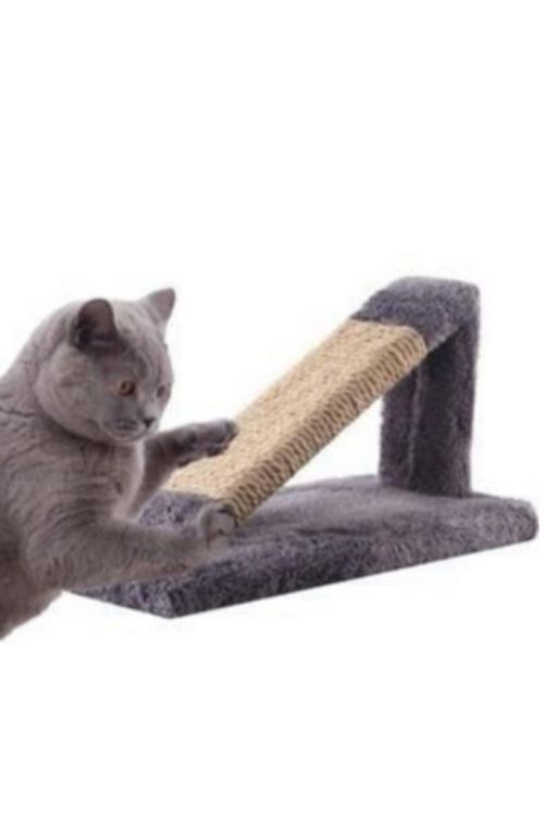 Petitoys Kedi Tirmalama Rampasi Fiyati Yorumlari Trendyol
