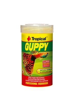 Guppy 100ml 20gr Lepistes Için Pul Yem