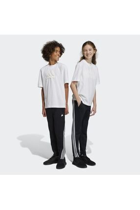 Future Icons 3-stripes Ankle-length Eşofman Altı