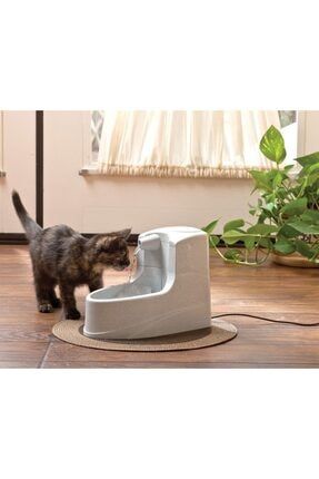 Petsafe mini pet top fountain