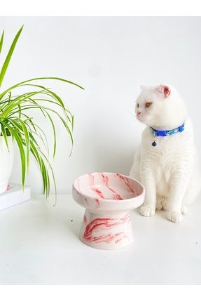 🐾 Seramik Mama Kabı ile Şıklığı Yakalayın! Hemen Alın