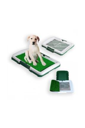Pi Ithalat Yavru Kopek Tuvalet Egitim Seti Puppy Potty Pad Fiyati Yorumlari Trendyol