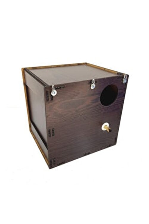 Machka Muhabbet Kusu Yuvaligi Profesyonel Fiyati Yorumlari Trendyol