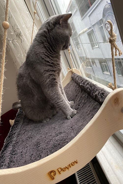 Peyrev Cama Asilan Ahsap Buyuk Boy Kedi Yatagi Fiyati Yorumlari Trendyol