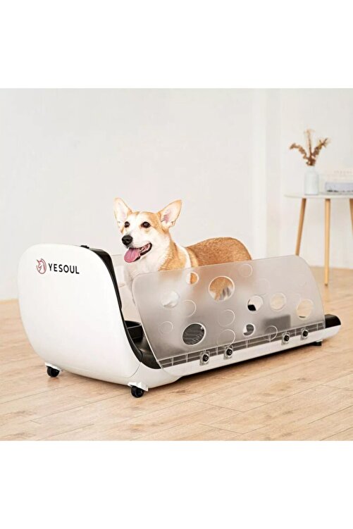 Yesoul Xiaomi Q1 Smart Evcil Hayvan Kosu Bandi Fiyati Yorumlari Trendyol