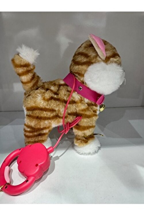 Qizlar yuzlarida otirgan holda cumnilingus dan