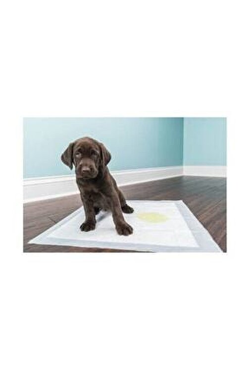 Hdg Kopek Tuvalet Pedi 60x90 Cm 30 Lu Kopek Tuvalet Pedi Kpk60x90 One Size Fiyati Yorumlari Trendyol