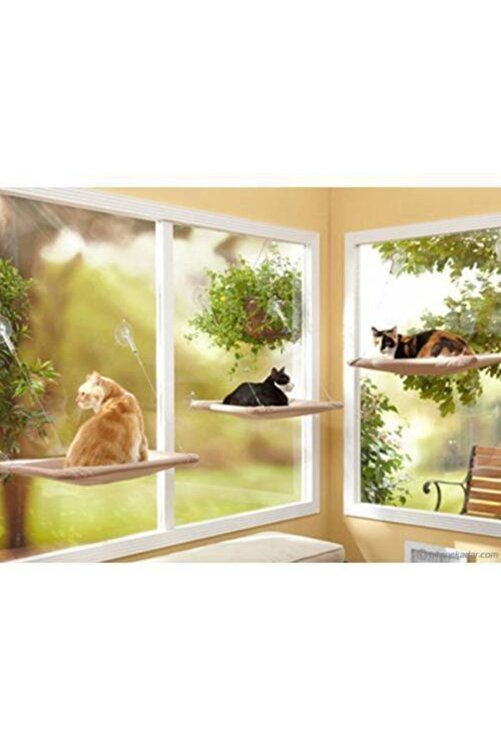 Zengin Hediyeler Sunny Seat Vantuzlu Cama Asilan Kedi Yatagi Kedi Minderi Cama Asilan Yatak Kedi Evi Guneslenme Fiyati Yorumlari Trendyol