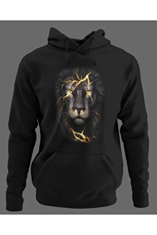 NOVUMUS Siyah Hoodie Sweatshirt Fiyatı, Yorumları - Trendyol