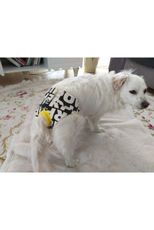 Trendypati Kopek Regl Kulodu Fiyati Yorumlari Trendyol