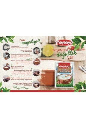 MAYALIYO Doğal Yoğurt Mayası 2 Adet 2