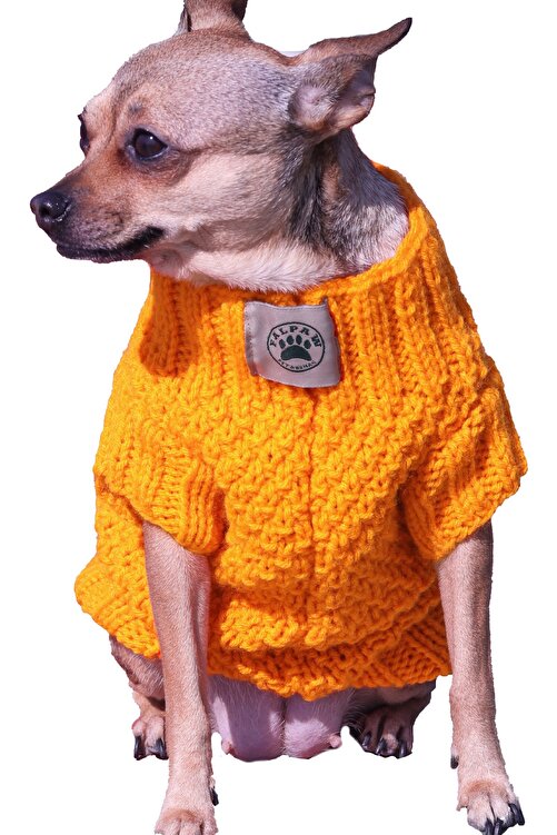 Falpaw El Ormesi Turuncu Kopek Kazak Kedi Kazak Fiyati Yorumlari Trendyol