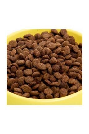 kedi maması neyden yapılır