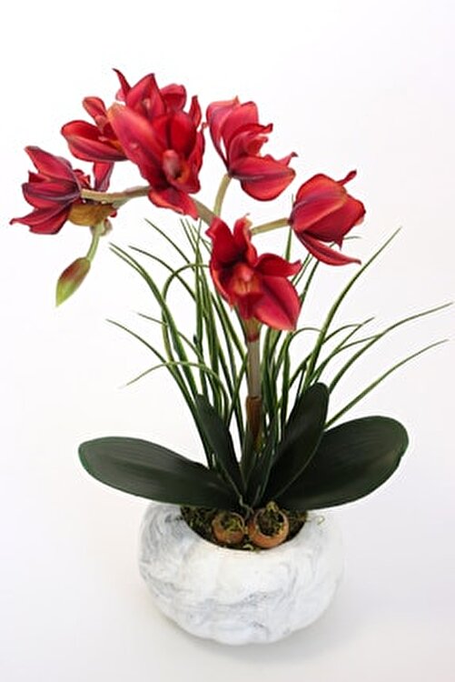 puma ferrari amaryllis