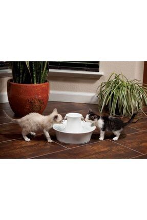 Petsafe drinkwell avalon discount pet water fountain