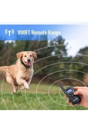Petrainer pet998dr1 shop