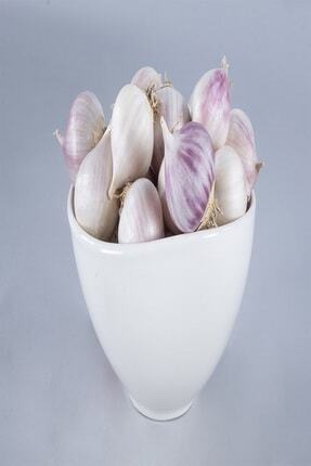 taskopru sarimsagi tek dis murduk fiyati yorumlari trendyol