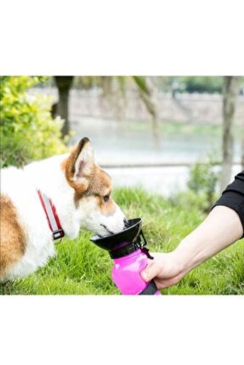 Life Petmarket 500ml Kopek Seyahat Sulugu Su Sisesi Pembe Fiyati Yorumlari Trendyol