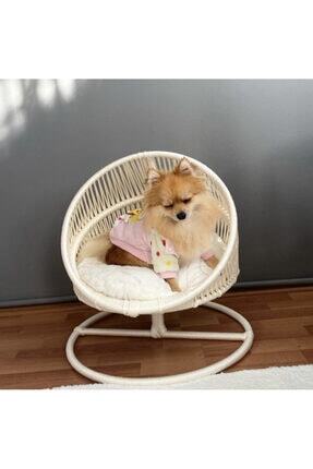 Kedi Yatağı - lüxperi