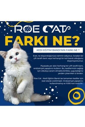 Roe Cat Kedi Egitim Bandi Mobilyalar Icin Tirmalamaya Karsi Onleyici 100 Seffaf Non Toxic 10cm X 10m Fiyati Yorumlari Trendyol