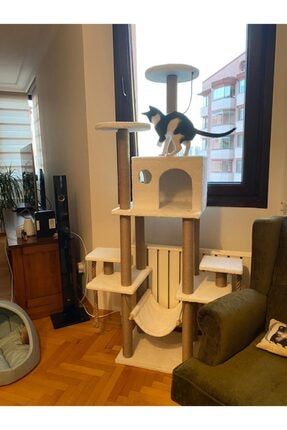 pethome kedi tirmalama evi ve oyun platformu fiyati yorumlari trendyol
