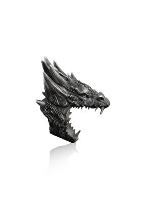 gümüş ve siyah ejderhalar