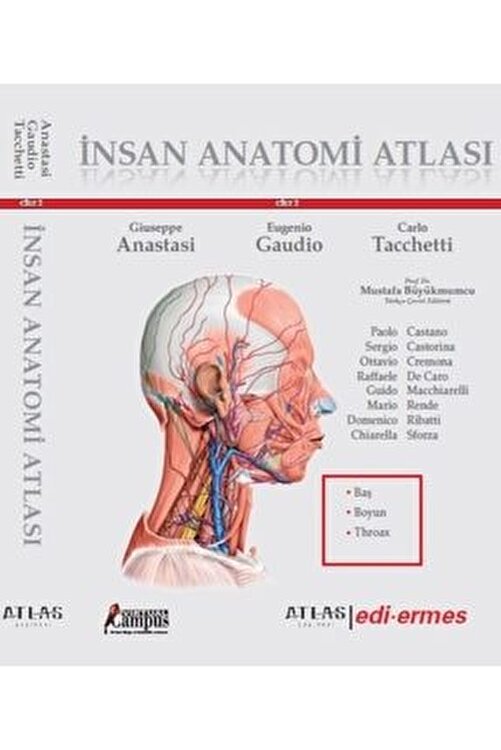 Atlas Tip Fakultesi Ftr 1 Ve 2 Sinif Anatomi I Cilt 2 Bas Boyun Noroanatomi Throax Sobotta Netter Fiyati Yorumlari Trendyol