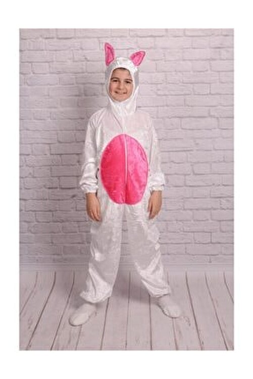trix tavşan kostümü
