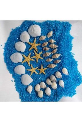 07mm-2,5cm Süs Deniz Kabuğu 300gr Deniz Kabukları Silis Kabuk + 300gr Teraryum Mavi Kum+yıldız AKERTERARYUMURUNLERII055