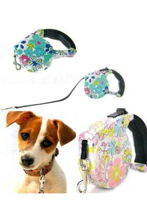 Mobee Pup Style Desenli Kopek Tasmasi Fiyati Yorumlari Trendyol Mobee Pup Style Desenli Kopek Tasmasi Fiyati Yorumlari Trendyol