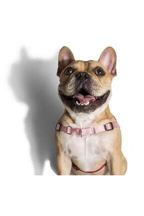 Zee Dog Blink Soft Walk Gogus Tasmasi L Fiyati Yorumlari Trendyol