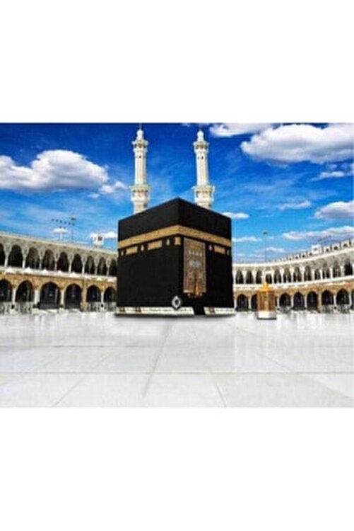 Wombhobby Kabe Sayilarla Boyama Seti 40x50 Cm Tuvale Gerili Fiyati Yorumlari Trendyol Wombhobby Kabe Sayilarla Boyama Seti 40x50 Cm Tuvale Gerili Fiyati Yorumlari Trendyol