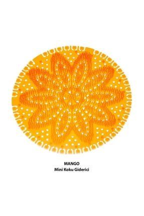 Pisuvar Süzgeci Koku Giderici 10 Adet Mango 4066
