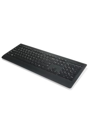 LENOVO Professional Wireless Combo Klavye Mouse Set 4x30h56827 Fiyat Yorumlar Trendyol