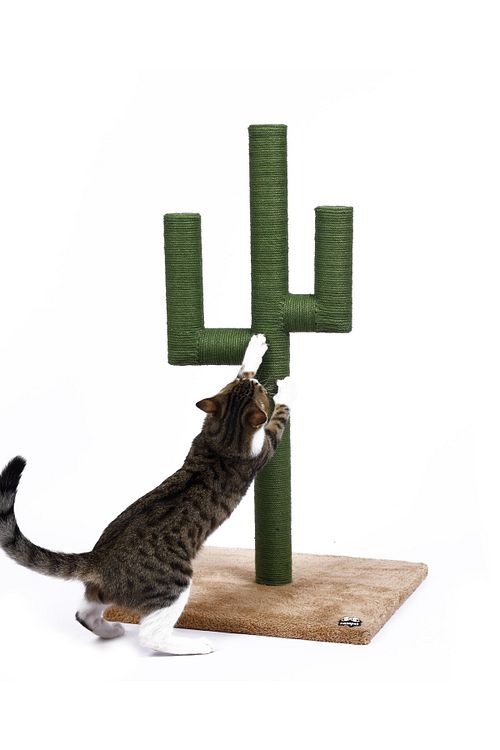 Nazzpet Kaktus Tirmalama Tahtasi Yesil Large 80cm Fiyati Yorumlari Trendyol