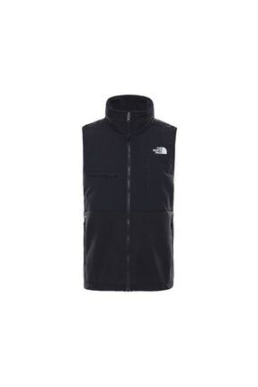 Denali vest 2025