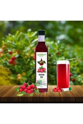 cüce kırmızı uçlu kızılcık