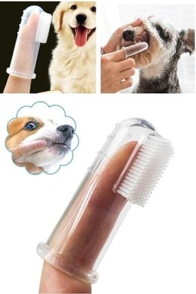 Silikon Kedi Ve Köpek Diş Fırçası Evcil Hayvan Diş Bakım Fırçası Yumuşak Diş Tartar Diş Fırçası