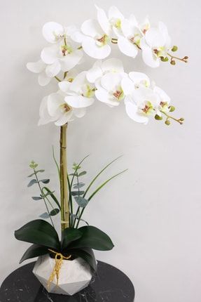 Beton Geometrik Saksıda Yapay Islak Orkide Beyaz 2'li YPCCK-FKYT-151