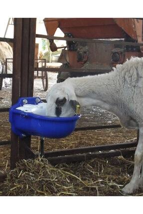 erinox otomatik koyun sulugu fiyati yorumlari trendyol