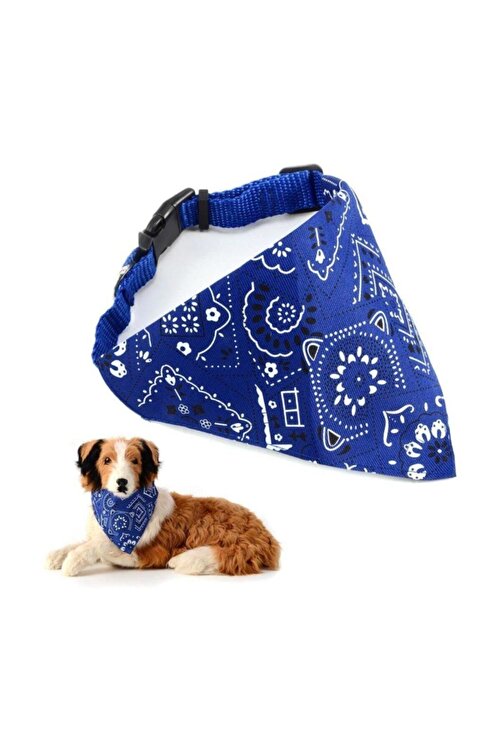 Pet Aksesuar Fularli Kopek Boyun Tasmasi Mavi 60 Cm Fiyati Yorumlari Trendyol