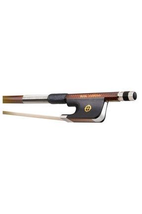 Coda bow shop gx