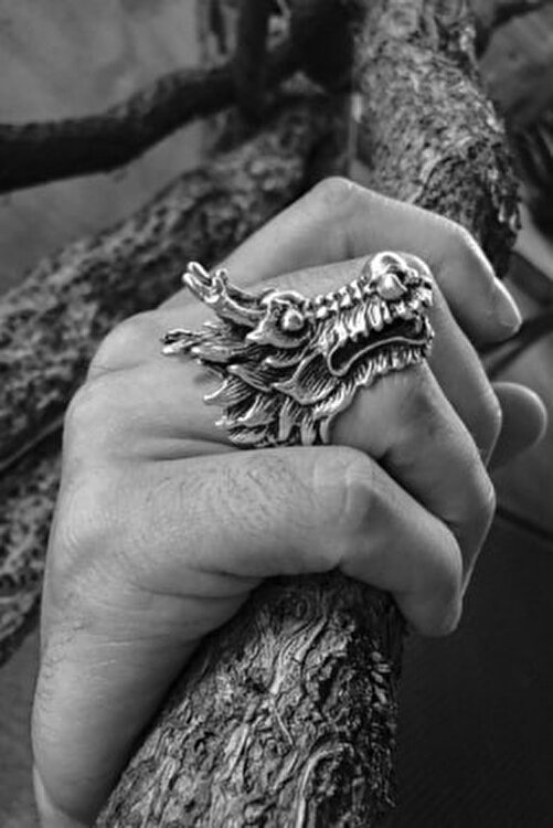 gümüş ve siyah ejderhalar