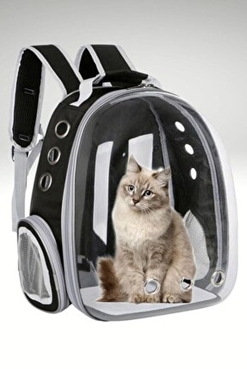 kedi astronot çanta