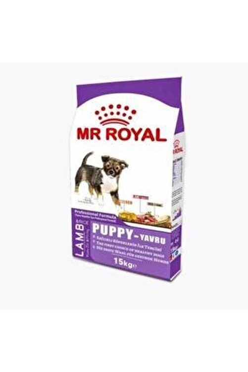 Realite Grup Mr Royal Puppy Yavru Kopek Mamasi Fiyati Yorumlari Trendyol