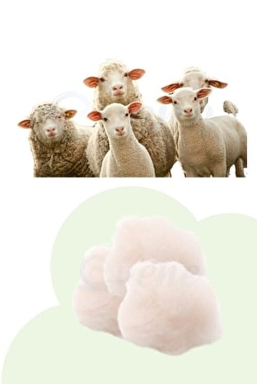 yorgan bloğu clipart