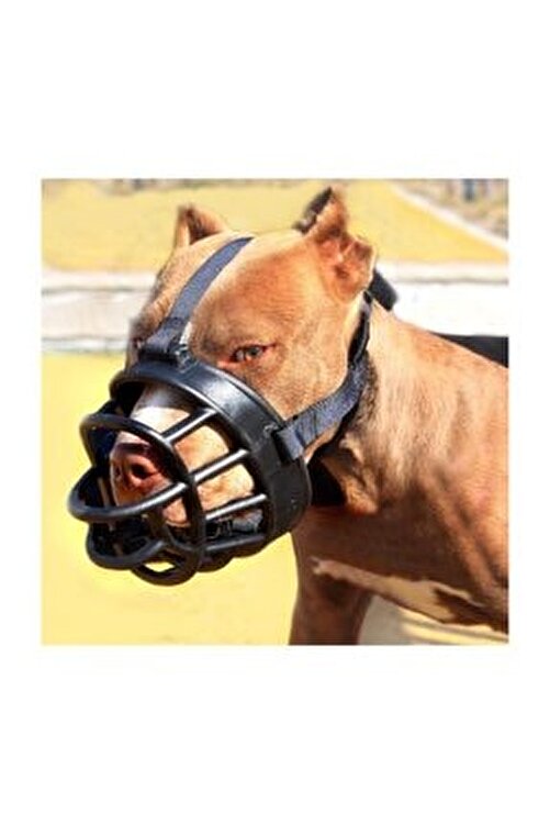 Ans Siyah Silikon Kopek Agizligi Kopek Burunlugu 5 Numara Fiyati Yorumlari Trendyol